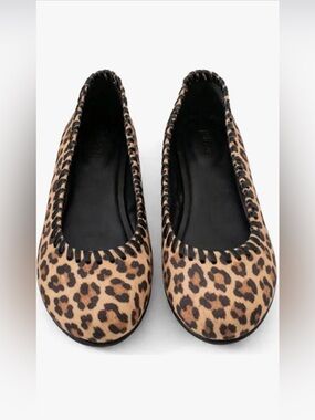 NIB Jelavu Suede Ella Flat